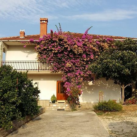 Apartman Dukic Apartment Trogir Luaran gambar
